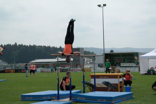 Bild (48)